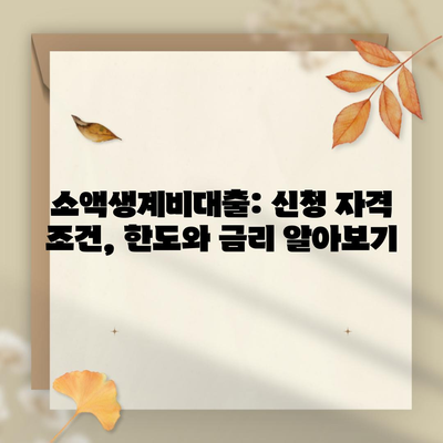 소액생계비대출: 신청 자격 조건, 한도와 금리 알아보기