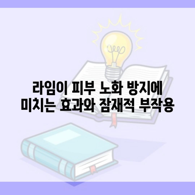 라임이 피부 노화 방지에 미치는 효과와 잠재적 부작용