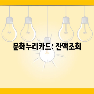 문화누리카드: 잔액조회