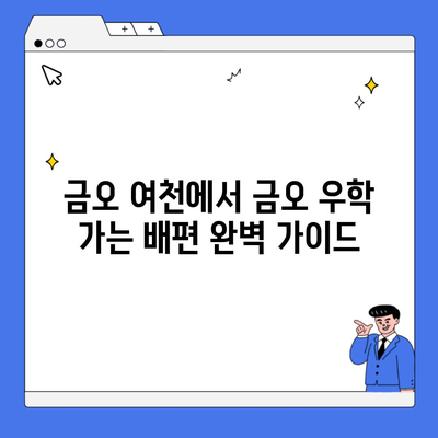 금오 여천에서 금오 우학 가는 배편 완벽 가이드