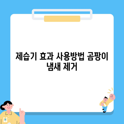 제습기 효과 사용방법 곰팡이 냄새 제거