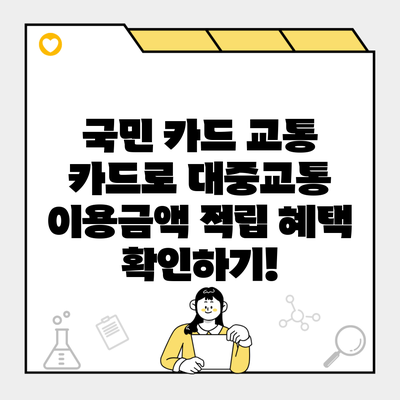 국민 카드 교통 카드로 대중교통 이용금액 적립 혜택 확인하기!