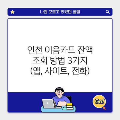 인천 이음카드 잔액 조회 방법 3가지 (앱, 사이트, 전화)