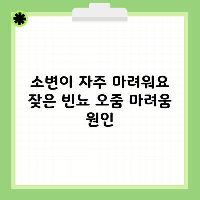 소변이 자주 마려워요 잦은 빈뇨 오줌 마려움 원인