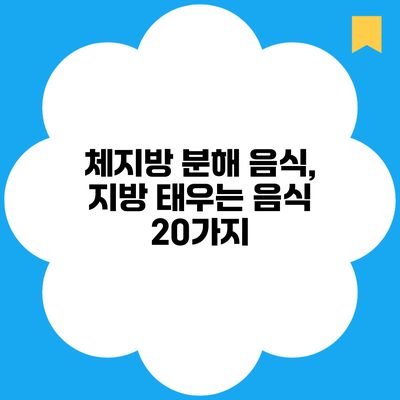 체지방 분해 음식, 지방 태우는 음식 20가지