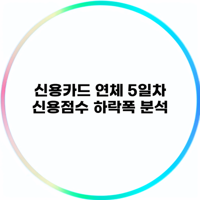 신용카드 연체 5일차 신용점수 하락폭 분석