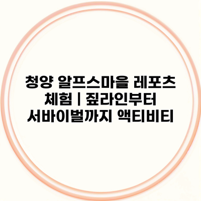 청양 알프스마을 레포츠 체험 | 짚라인부터 서바이벌까지 액티비티