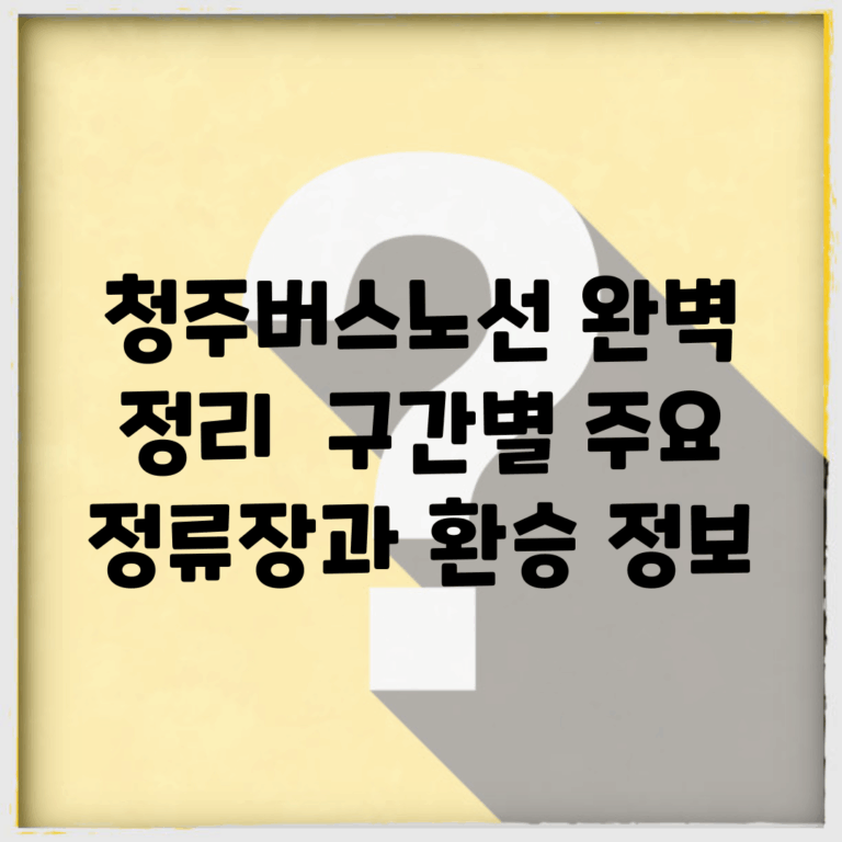 청주버스노선 완벽 정리 | 구간별 주요 정류장과 환승 정보