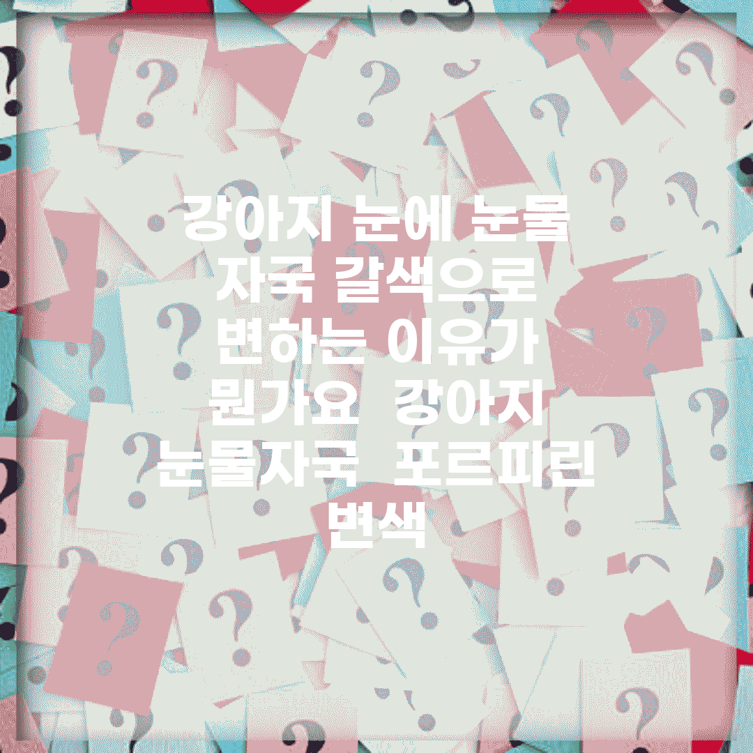 강아지 눈에 눈물 자국 갈색으로 변하는 이유가 뭔가요 | 강아지 눈물자국 | 포르피린 | 변색