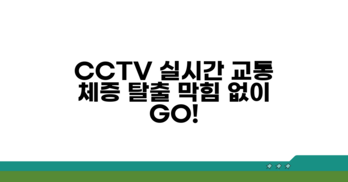실시간 CCTV로 교통 체증 피하기