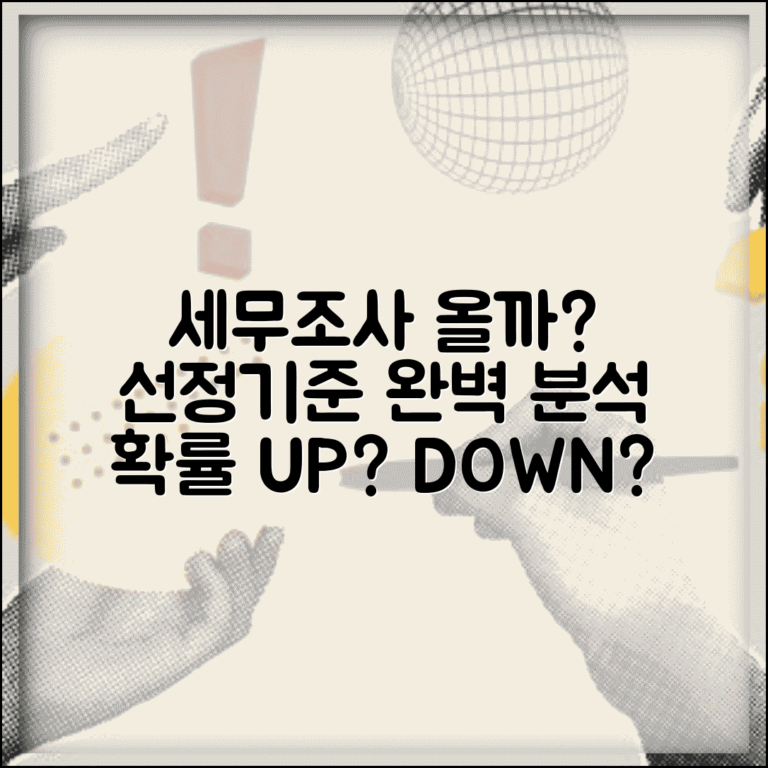 세무조사 나올 확률 얼마나 되나요 | 세무조사 | 선정기준 | 확률