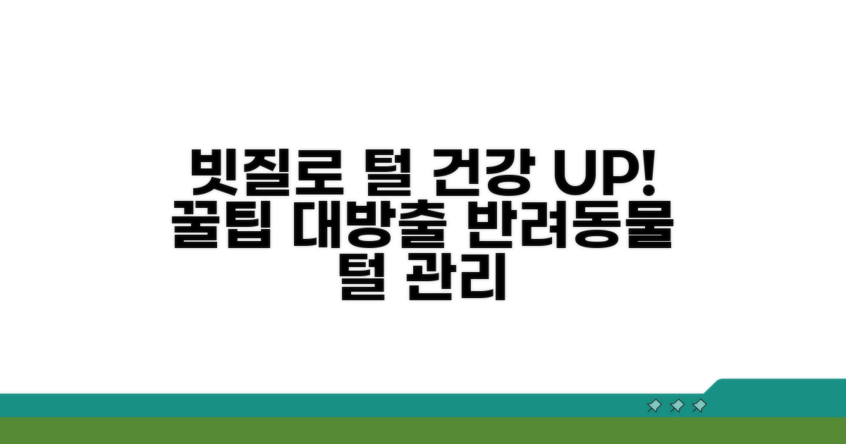 빗질로 건강하게 털 관리하기