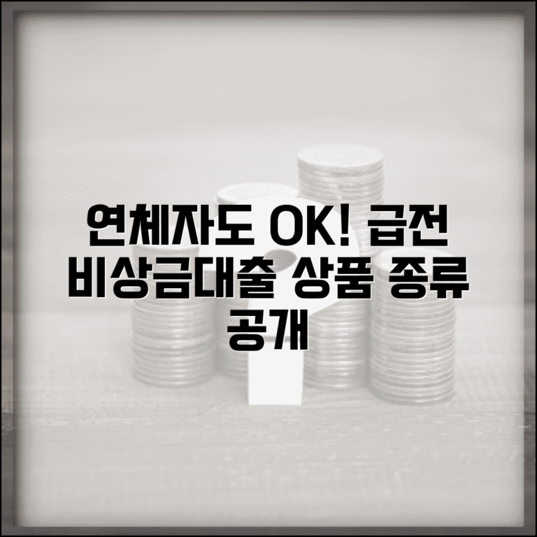 연체자 비상금대출 급전 가능한 상품 종류