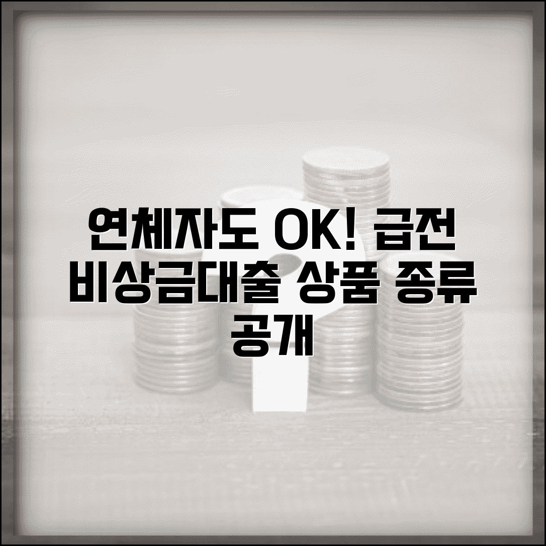 연체자 비상금대출 급전 가능한 상품 종류