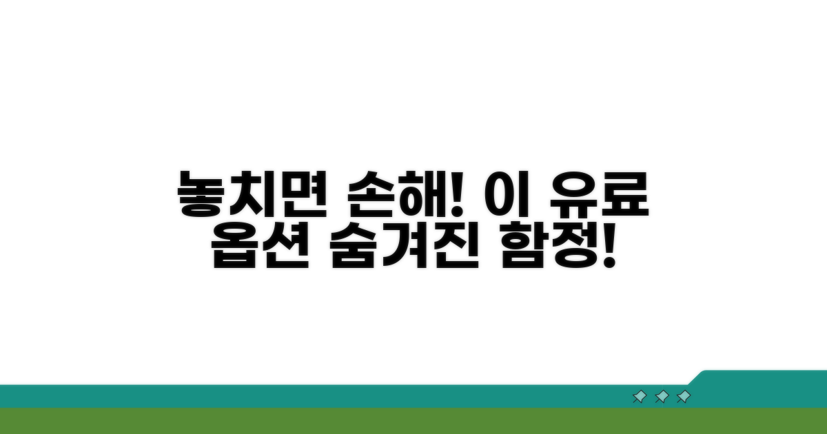 놓치기 쉬운 유료 옵션, 이것이 함정!