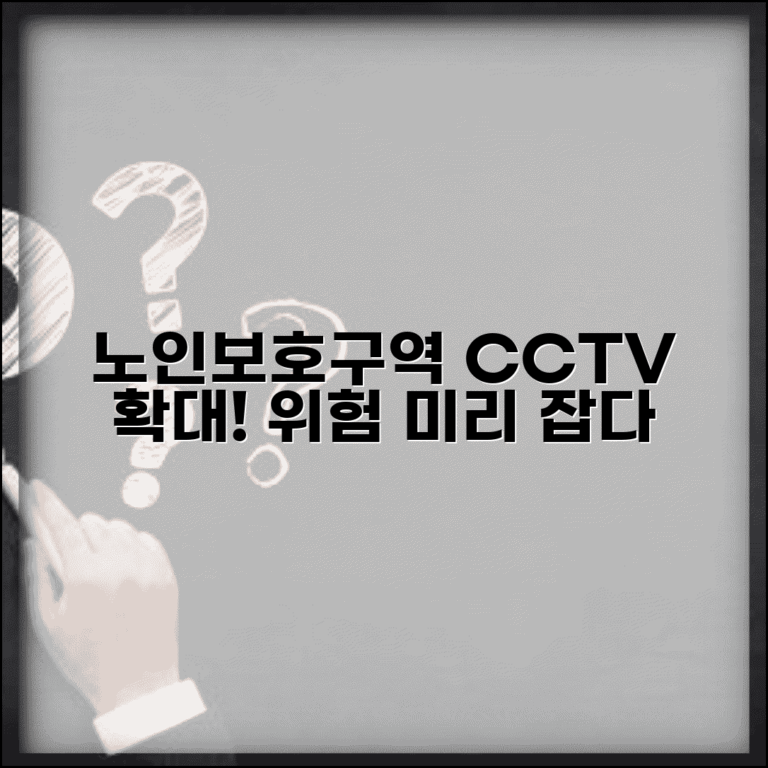 노인보호구역 CCTV 설치 확대와 위험 조기 발견 시스템 노인보호구역 CCTV 설치 확대와 위험 조기 발견 시스템