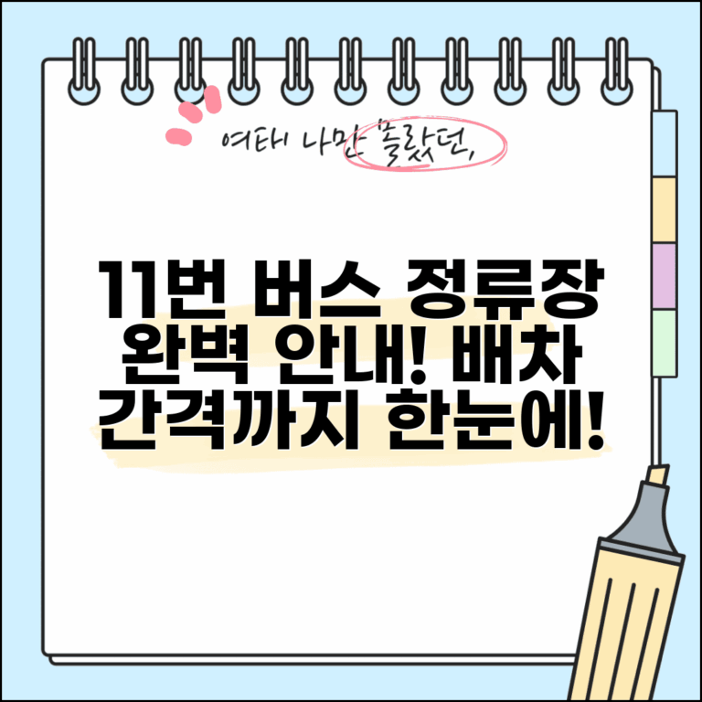 11번 버스 노선 정류장별 안내와 배차 간격