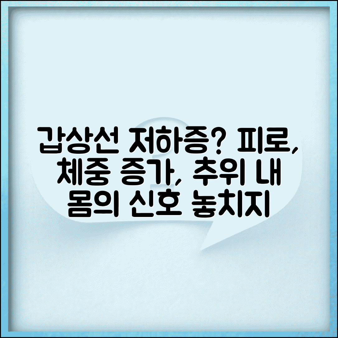 갑상선 기능 저하증 증상 | 피로, 체중 증가, 추위 민감 등 특징적 신호와 대처법