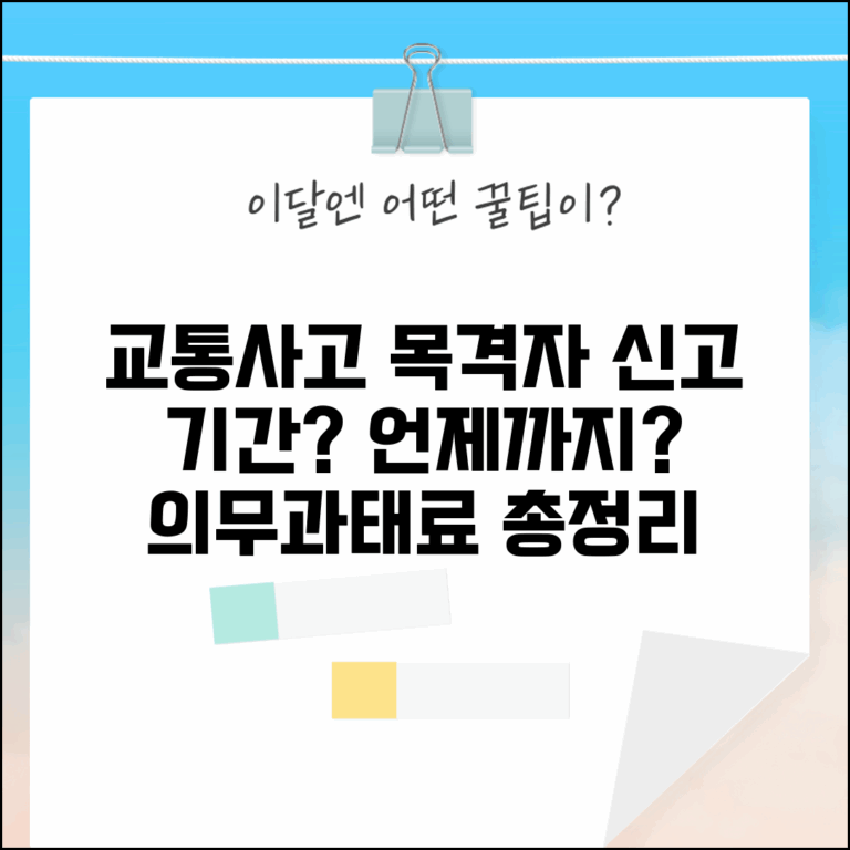 교통사고 목격자 신고 기간 언제까지 | 의무 기간, 신고 방법, 과태료 총정리