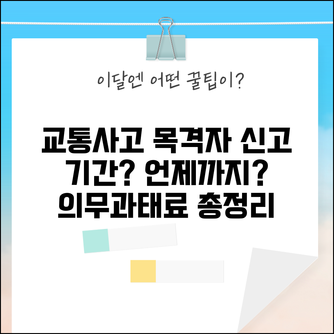 교통사고 목격자 신고 기간 언제까지 | 의무 기간, 신고 방법, 과태료 총정리