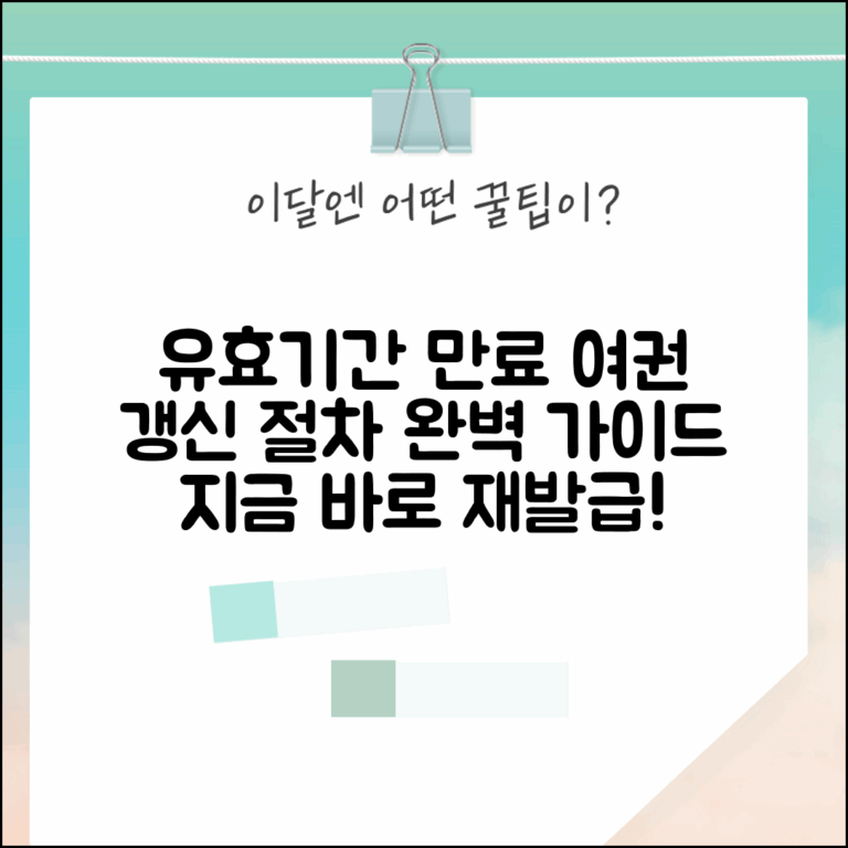 유효기간 지난 여권 재발급 | 만료된 여권 갱신 절차 완벽가이드