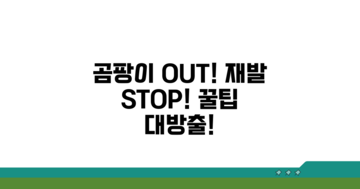 곰팡이 재발 방지 꿀팁