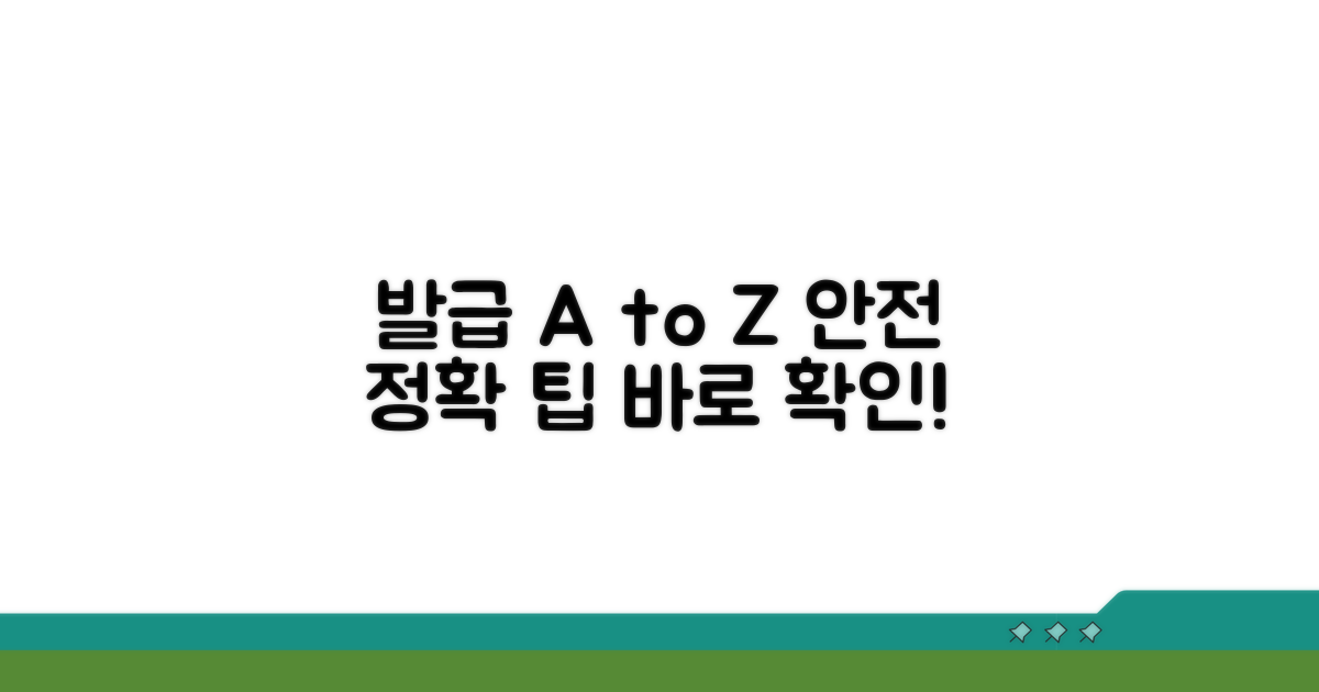 안전하고 정확한 발급 팁