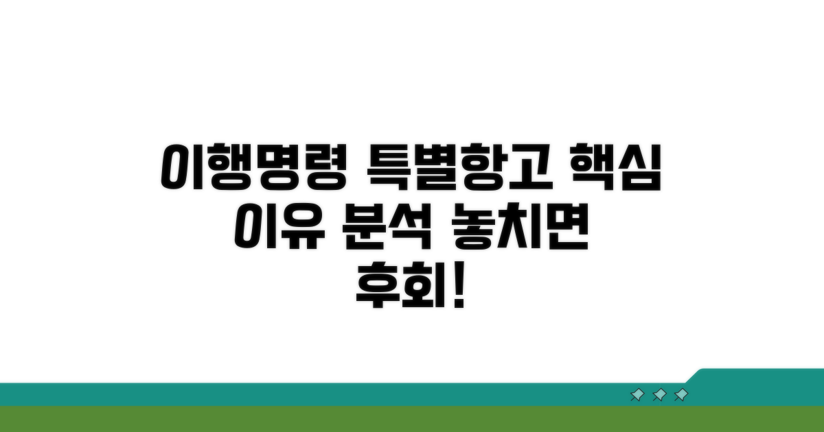 이행명령 특별항고 이유 분석