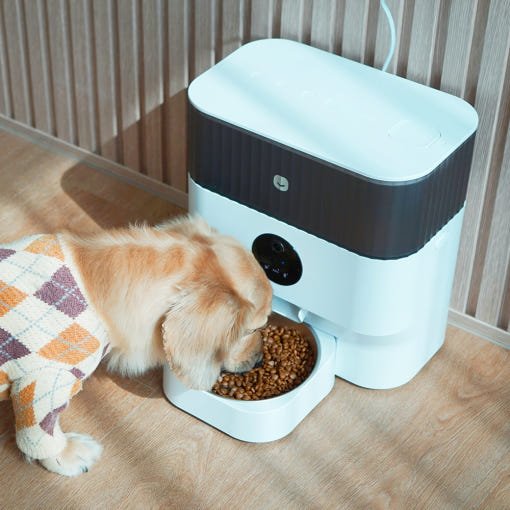 강아지 고양이 자동급식기 리뉴얼 사료급여기 스마트 펫급식기 음성 홈캠 헤이홈 상세 이미지 1