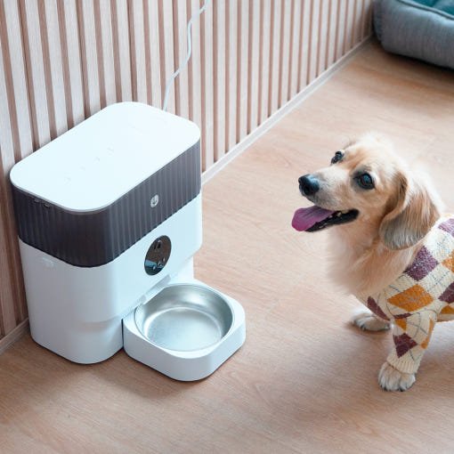 강아지 고양이 자동급식기 리뉴얼 사료급여기 스마트 펫급식기 음성 홈캠 헤이홈 상세 이미지 1